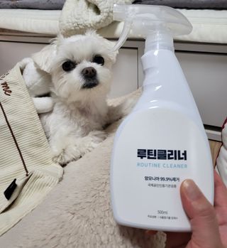 뽀오오옹님이 올린 리뷰 사진 1
