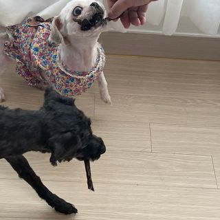 우와한언니님이 올린 리뷰 사진 2
