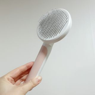 lala님이 올린 리뷰 사진 2