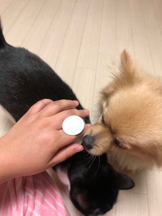 나와링님이 올린 리뷰 사진 3