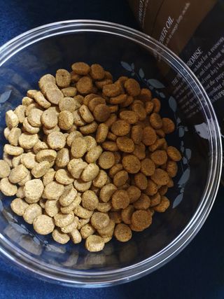 탱크돌콩님이 올린 리뷰 사진 2