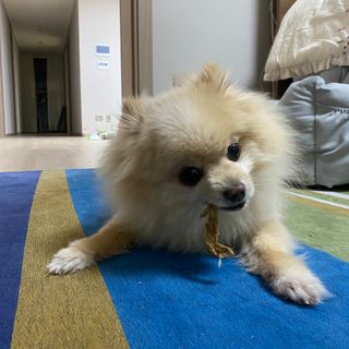 세지니힛님이 올린 리뷰 사진 3