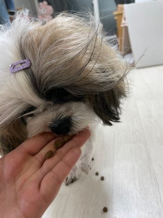 라라통통님이 올린 리뷰 사진 3