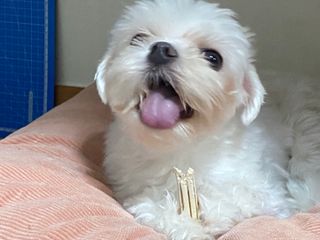 awedana님이 올린 리뷰 사진 1