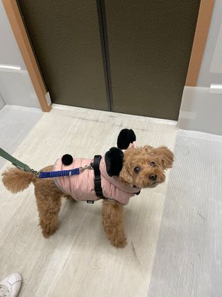 harumom님이 올린 리뷰 사진 1