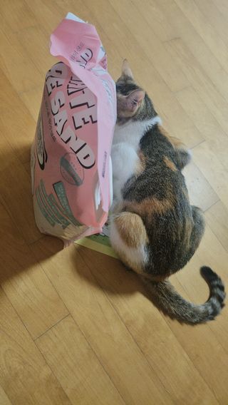 cherishlim님이 올린 리뷰 사진 4