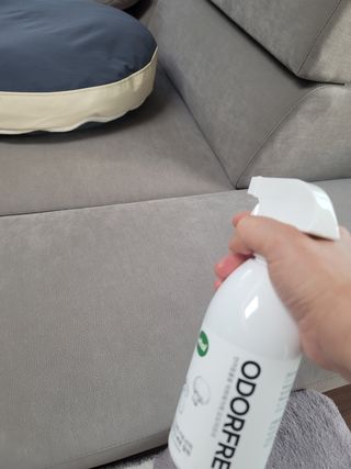 란다김님이 올린 리뷰 사진 3