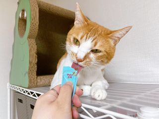 이채린님이 올린 리뷰 사진 4