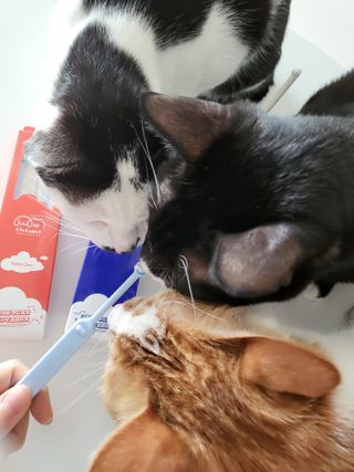 오둥이맘님이 올린 리뷰 사진 2