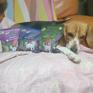 beaglelove님이 올린 리뷰 사진 2