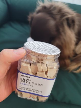 페페로니 자기전에 먹는 저알러지 껌 세트 치킨+오리 — 4점을 준 리뷰어가 2021년 7월 올린 사용 사진