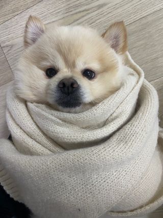 하블리맘님이 올린 리뷰 사진 3
