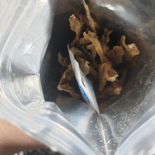 [보헤리] 국내산 강아지 육포간식 바삭 64 2종 — 5점을 준 리뷰어가 2022년 4월 올린 사용 사진