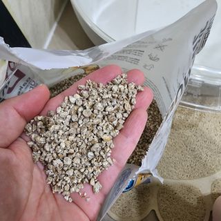 브라우니모래 [브라우니] 고양이 카사바모래 브라우니 천연 응고형 모래  6Lx2개 — 5점을 준 리뷰어가 2023년 11월 올린 사용 사진