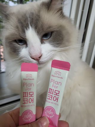 로크찡님이 올린 리뷰 사진 1