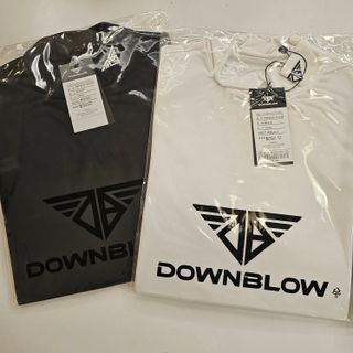 다운블로우DBFWLW-2000-1W FW 여자 스포츠 기능성 골프웨어 기모 이너 티셔츠 (화이트) — 5점을 준 리뷰어가 2024년 12월 올린 사용 사진