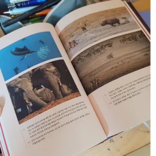 가루파랑님이 올린 리뷰 사진 3