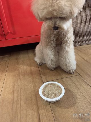 ve_randa님이 올린 리뷰 사진 2