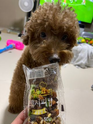 투밍님이 올린 리뷰 사진 3