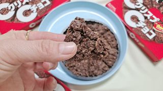 NISSIN 닛신 크리스피 초코 — 5점을 준 리뷰어가 2023년 1월 올린 사용 사진