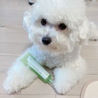 윰쏘님이 올린 리뷰 사진 1
