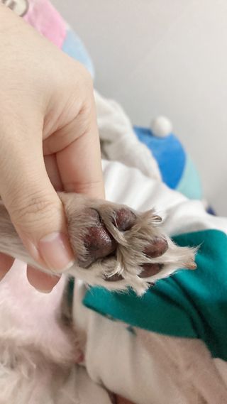 또왔엉님이 올린 리뷰 사진 3