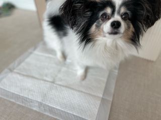 HaejinSeung님이 올린 리뷰 사진 3