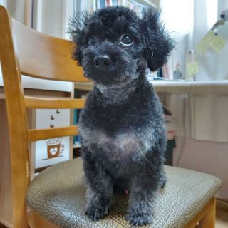 쓔리님이 올린 리뷰 사진 3