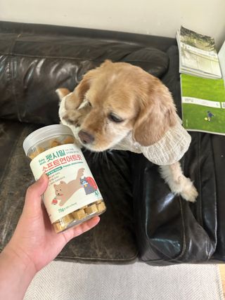 [펫시밀] 원물그대로 영양듬뿍 진공동결건조 북어트릿75g,치킨트릿100g,연어트릿75g 강아지 고양이 간식 — 5점을 준 리뷰어가 2023년 6월 올린 사용 사진