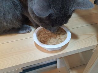윤네오님이 올린 리뷰 사진 4