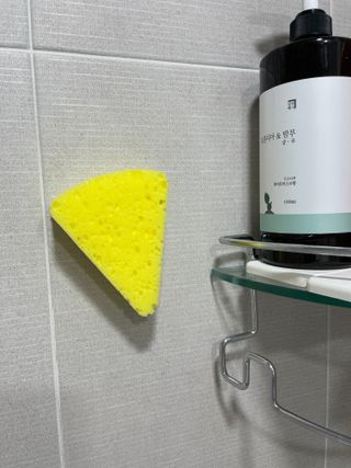 요하님이 올린 리뷰 사진 3
