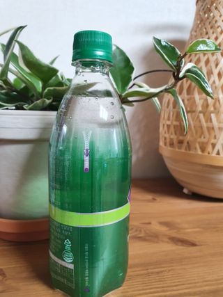 몽베스트 Montbest with Sparkling water Lime20병 — 5점을 준 리뷰어가 2022년 6월 올린 사용 사진