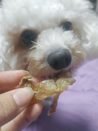 햇님달님님이 올린 리뷰 사진 1