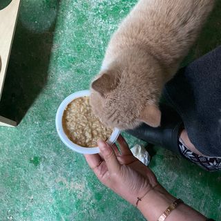 보니보니님이 올린 리뷰 사진 3