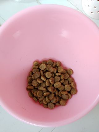 서윤님이 올린 리뷰 사진 3