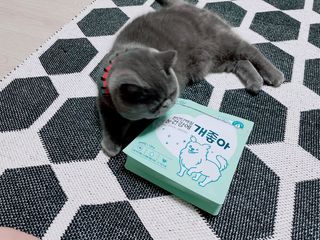 My Pet Care 천연단백질 눈건강에 개좋아 — 5점을 준 리뷰어가 2021년 4월 올린 사용 사진