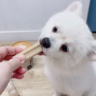 신블리마미님이 올린 리뷰 사진 2
