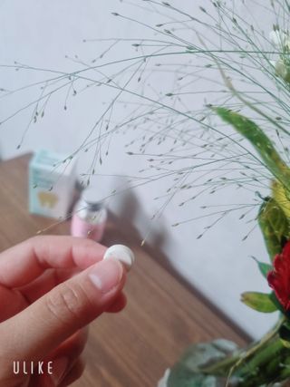 신현미님이 올린 리뷰 사진 2