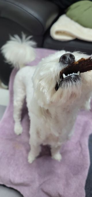 땅콩빠다님이 올린 리뷰 사진 3