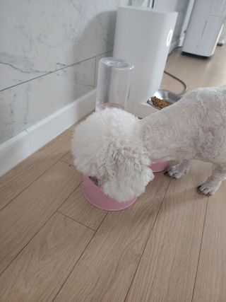 @,@님이 올린 리뷰 사진 3