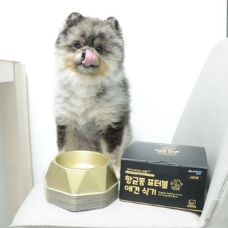 [세싹보울] 세균 싹~ 사라지는 셀앤핏 펫 항균동 애견식기 — 5점을 준 리뷰어가 2021년 6월 올린 사용 사진