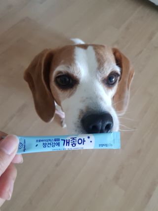 길핀언니님이 올린 리뷰 사진 1