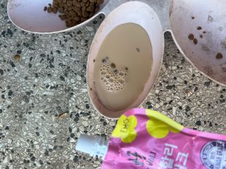 둠둠힝님이 올린 리뷰 사진 3