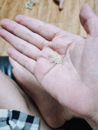 쟈두맘님이 올린 리뷰 사진 3