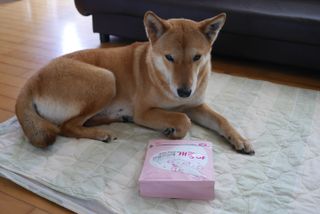 루비님이 올린 리뷰 사진 2