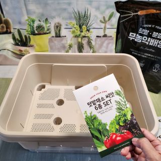 [메이크정글] 이제는 나도 도시농부, 키우기 쉬운 저면관수화분 BIG텃밭세트 — 5점을 준 리뷰어가 2023년 5월 올린 사용 사진