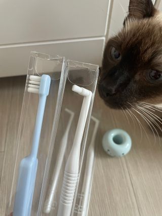 dole님이 올린 리뷰 사진 1