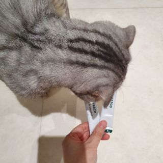 에디터보나님이 올린 리뷰 사진 2