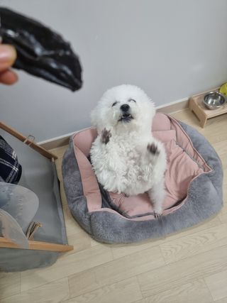 라니으니님이 올린 리뷰 사진 1