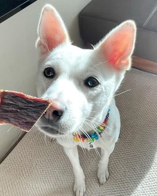 몽언니님이 올린 리뷰 사진 1